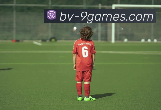 AG九游会官网平台生态图