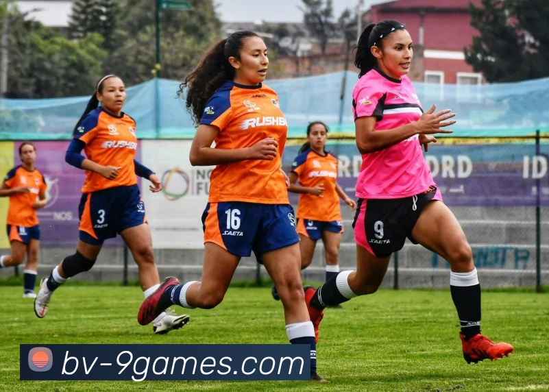 AG九游会官网APP 封面图